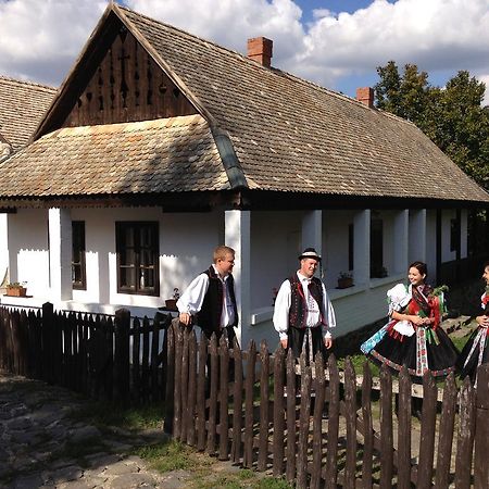 Hotel Hollokoeves Vendeghazak Pokoj fotografie