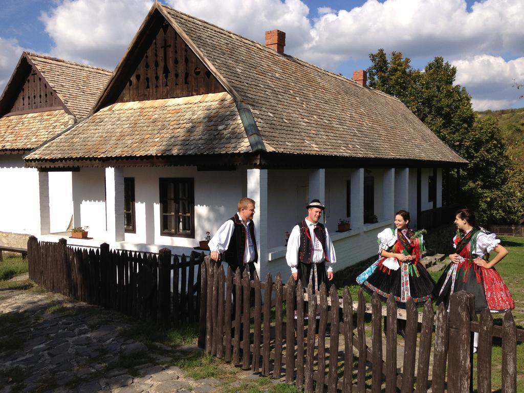 Hotel Hollokoeves Vendeghazak Pokoj fotografie